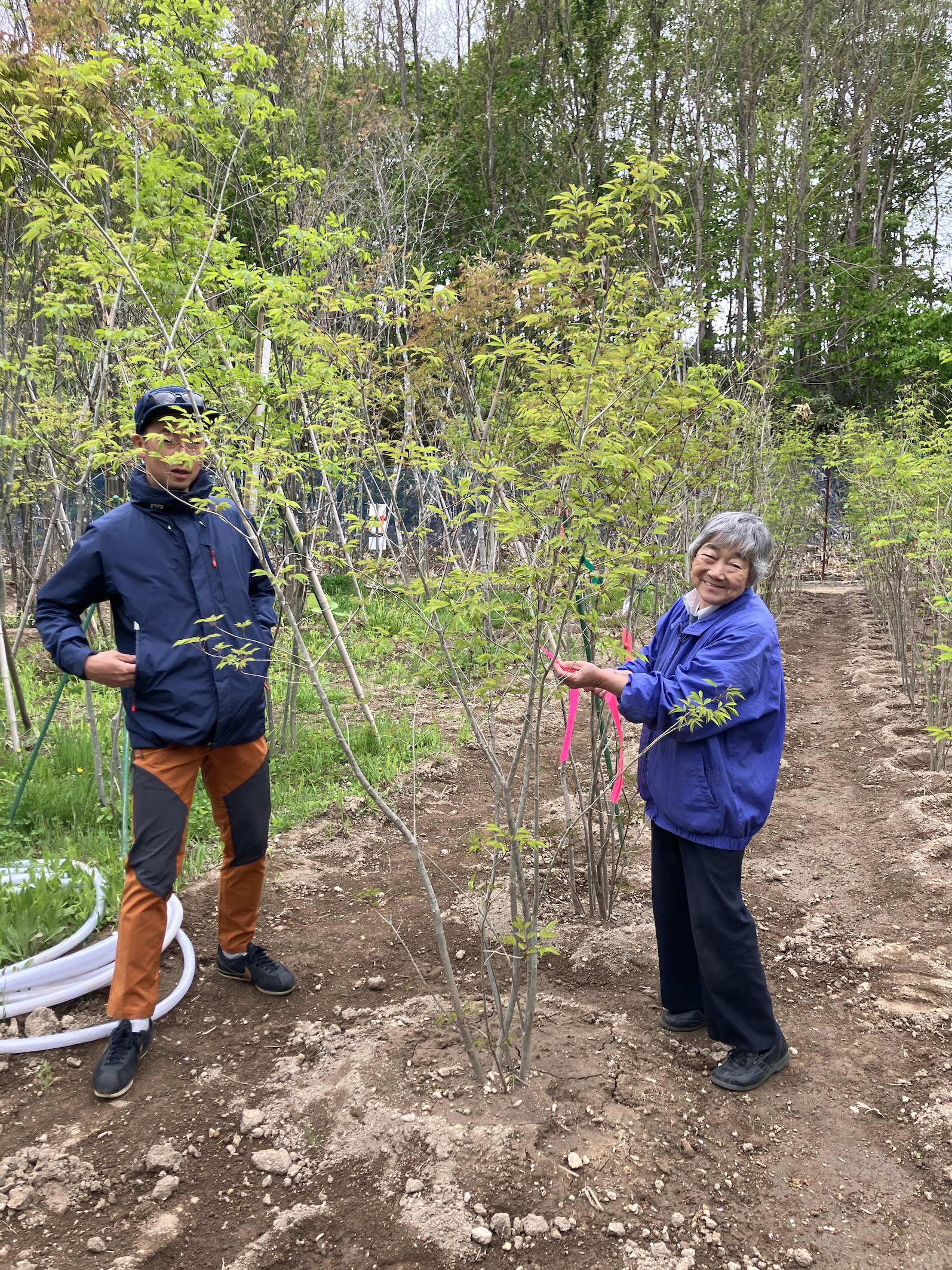 Image of 小樽市M邸 26